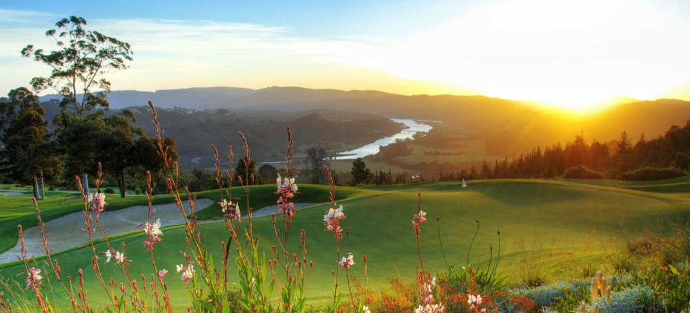 5-parks-live-unforgettable-safari-south-africa-addo-garden-route