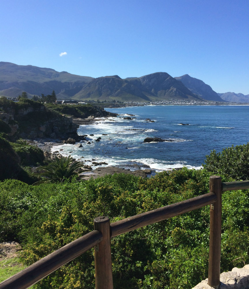 5-places-see-animals-cape-town-hermanus