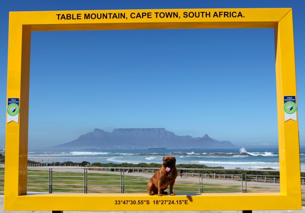 blouberg-frame-table-mountain