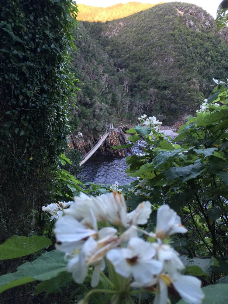 bungee-jump-tsitsikamma-national-park-bloukrans-river-bridge-4-1000