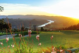 Garden Route & Safari - 3 Days