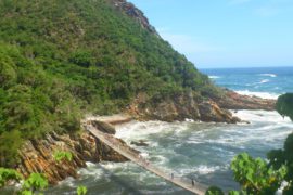 Garden Route & Addo Elephant Park - 5 Day Tour