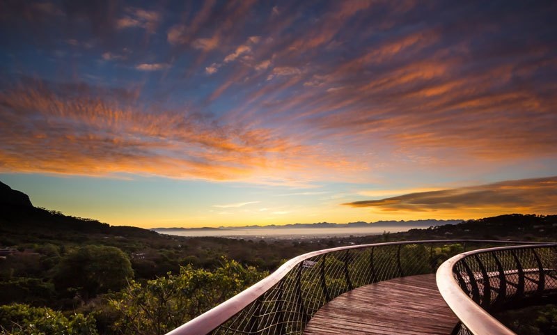 kirstenbosch-cape-town-canopee-bridge-sunset
