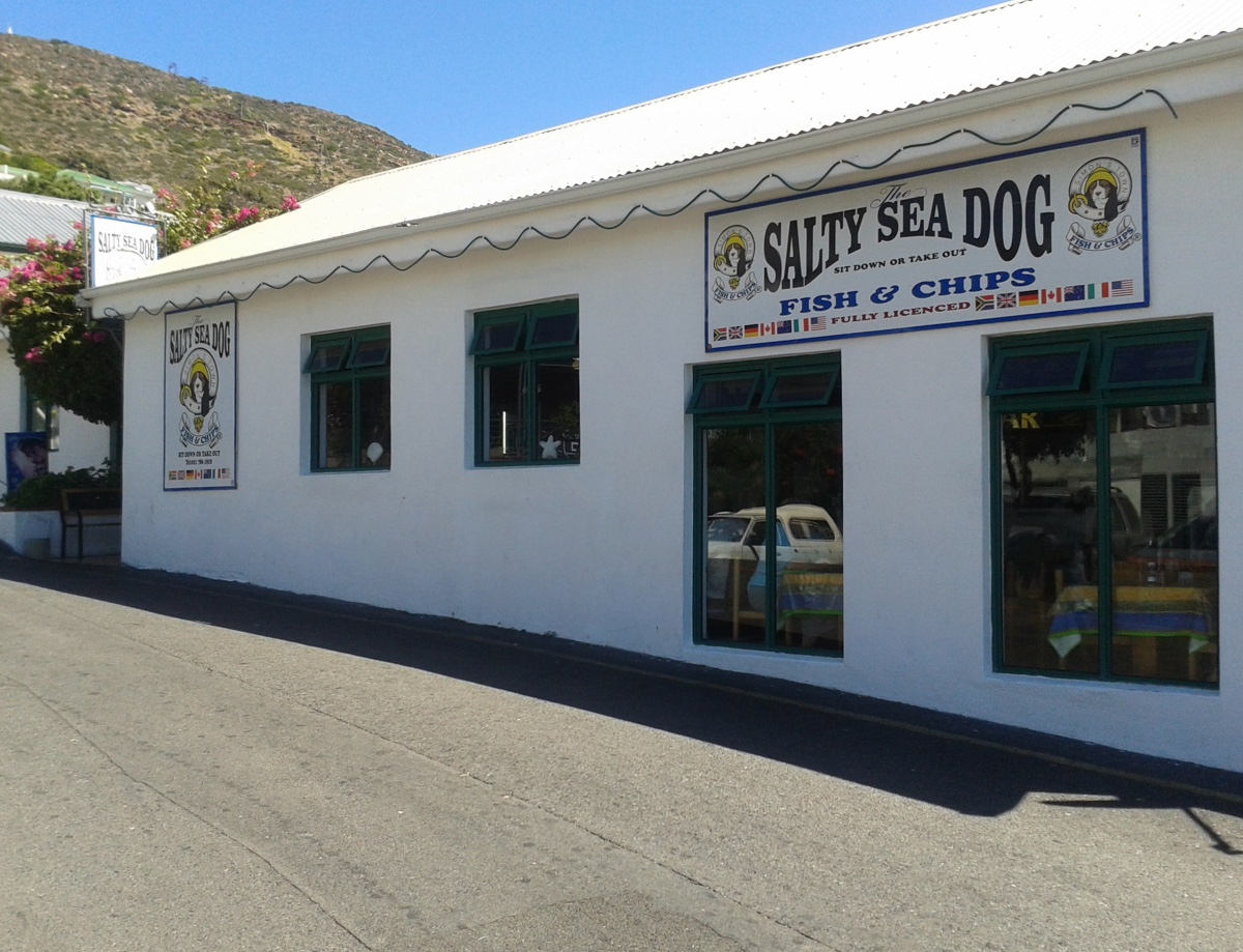 salty-sea-dog-cape-peninsula