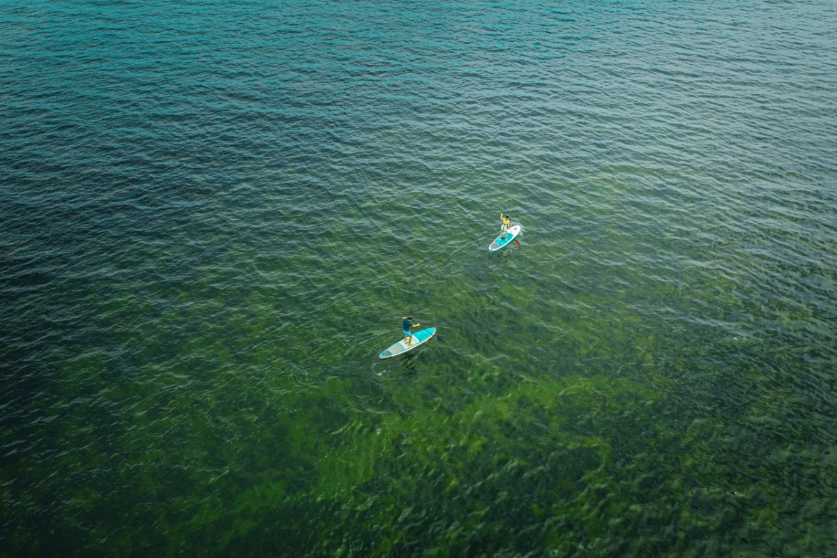 SUP - Cape Peninsula